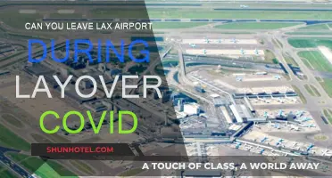 Exploring LA During a Layover at LAX: COVID Edition