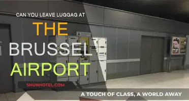 Brussels Airport: Leaving Luggage Behind?