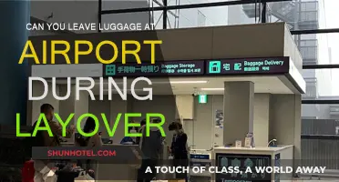 Airport Layover: Luggage Storage Options