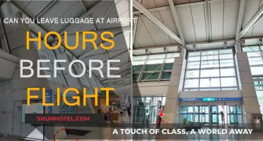 Airport Storage: Luggage Before Your Flight?