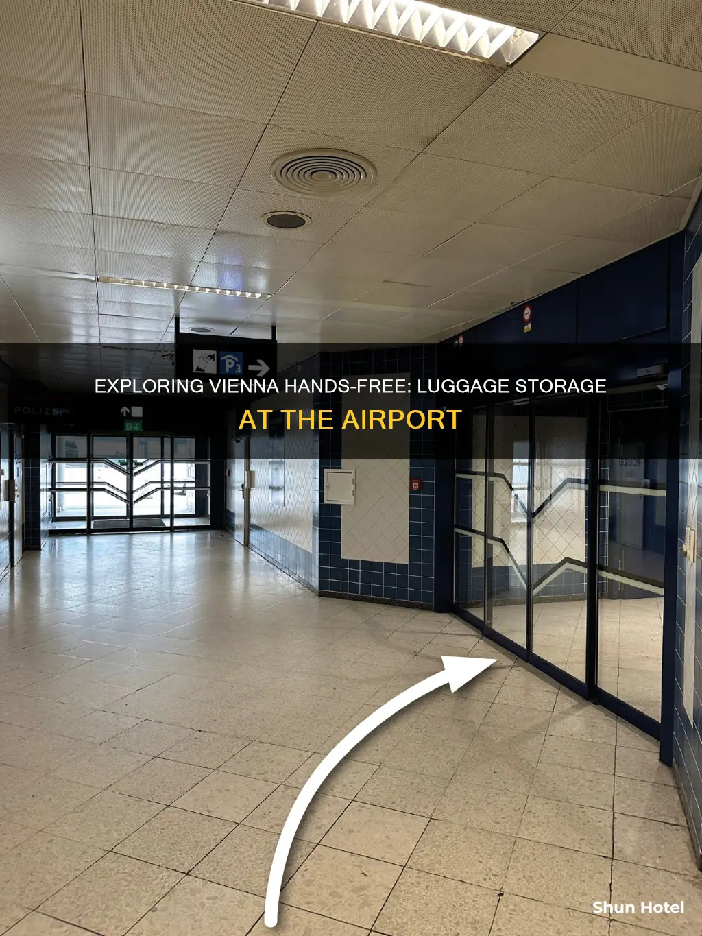 can you leave luggage at airport in vienna