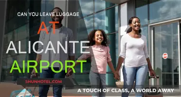 Exploring Alicante: Airport Luggage Storage Options