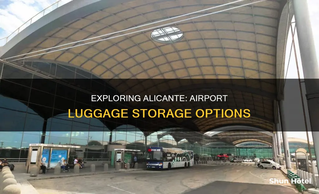 can you leave luggage at alicante airport