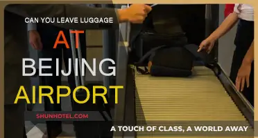 Beijing Airport: Leaving Luggage Behind