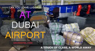 Dubai Airport: Leaving Luggage Behind