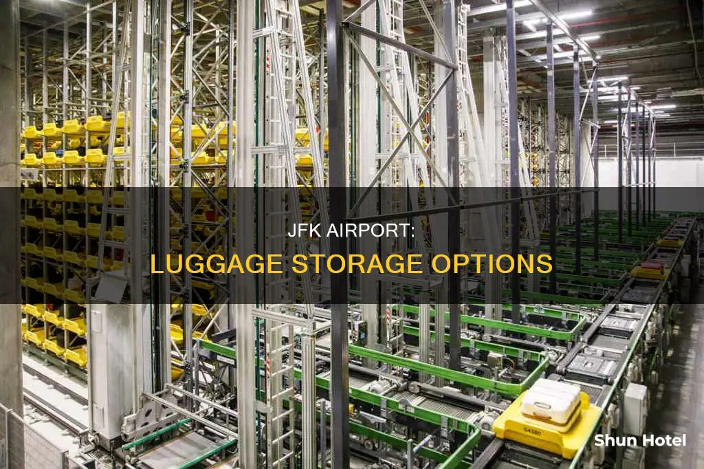 can you leave luggage at jfk airport