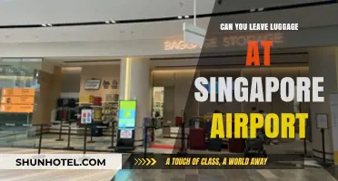 Singapore Airport: Leaving Luggage Behind