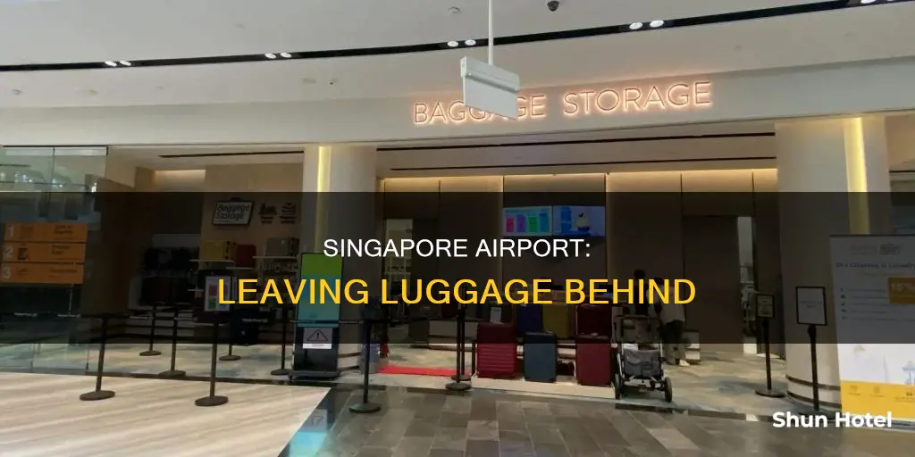 can you leave luggage at singapore airport