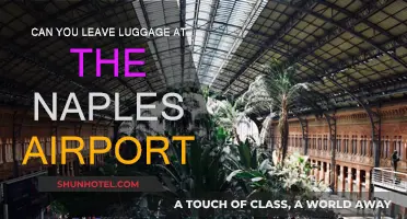 Naples Airport: Luggage Storage Options