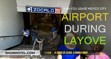Exploring Mexico City During a Layover