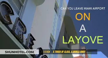 Exploring Miami: Making the Most of Your Layover