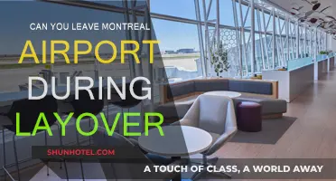 Exploring Montreal on a Layover: Is It Possible?