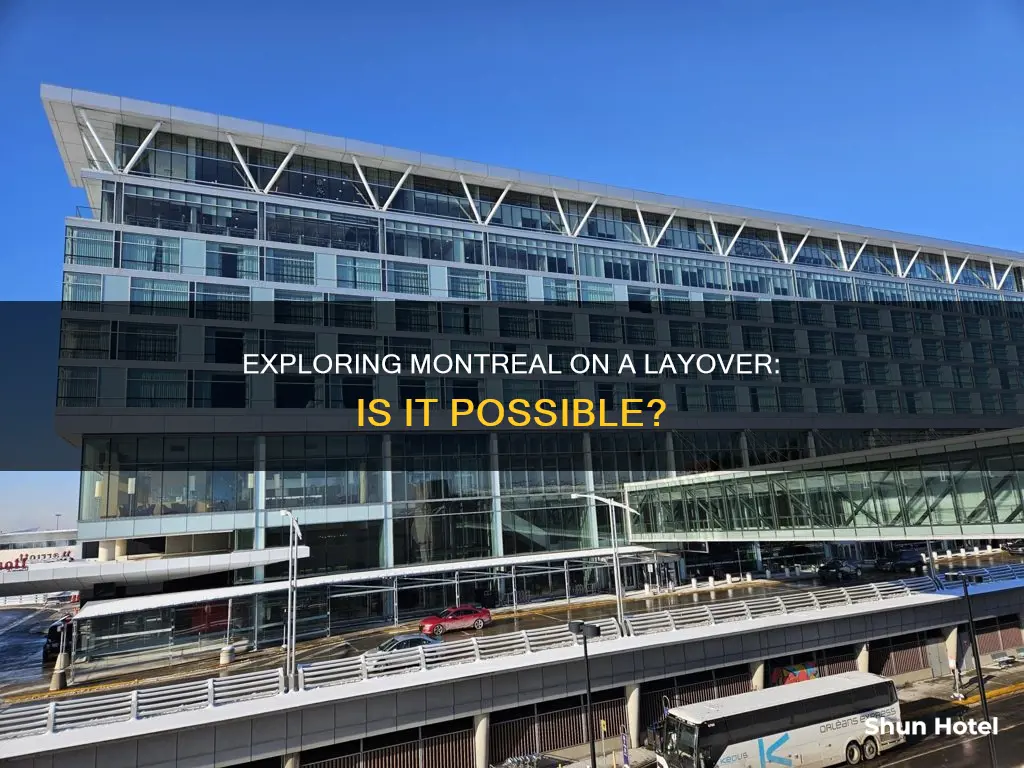 can you leave montreal airport during layover