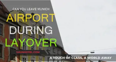 Exploring Munich During a Layover: Is It Possible?