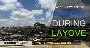 Exploring Nairobi: Making the Most of a Layover