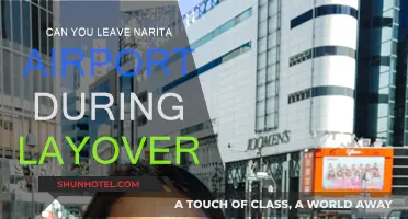 Exploring Narita: Layover Edition