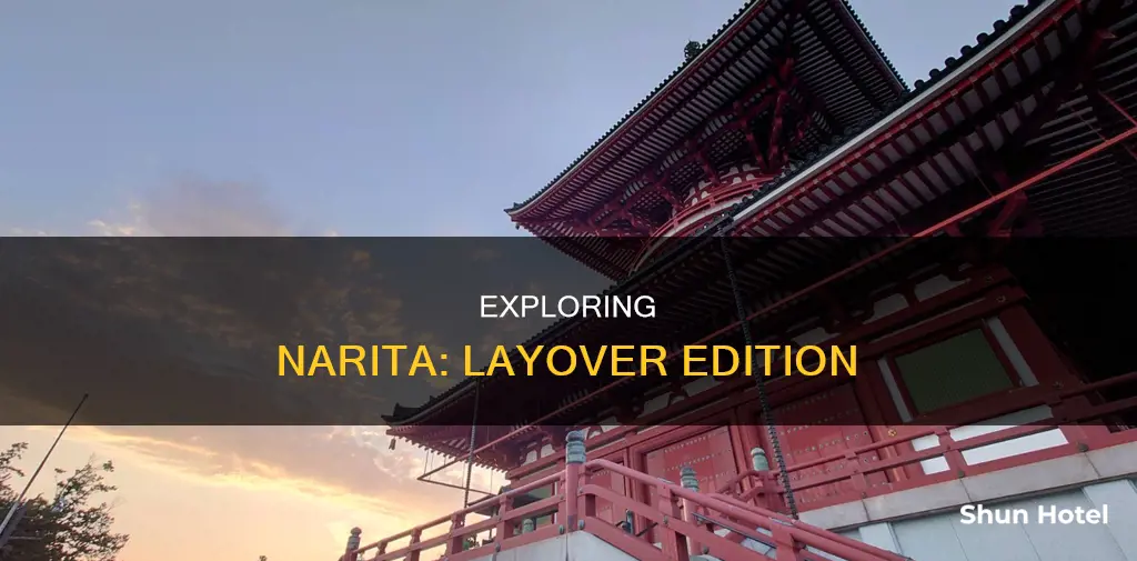 can you leave narita airport during layover