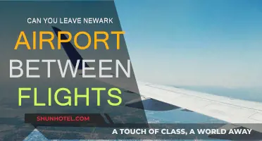 Exploring Newark: Making the Most of a Long Layover