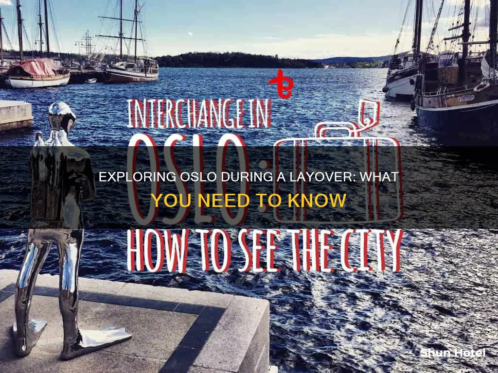 can you leave oslo airport during layover