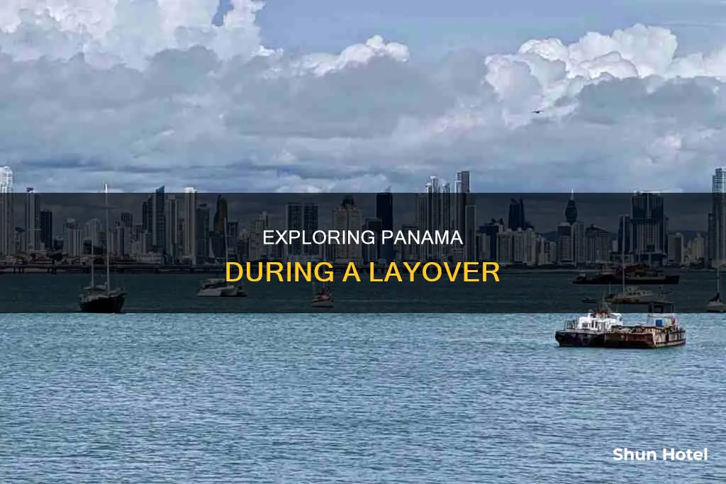 can you leave panama airport during layover