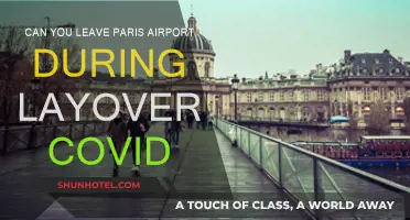 Exploring Paris on a Layover: COVID Travel Tips
