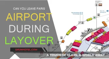 Exploring Paris on a Layover: Is It Possible?