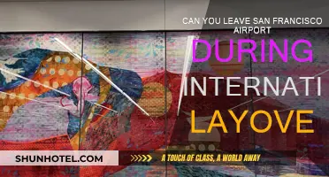 Exploring San Francisco During an International Layover
