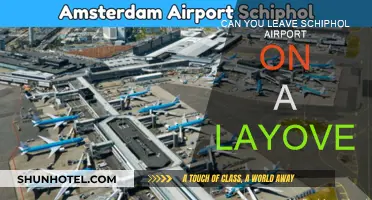 Exploring Amsterdam on a Layover at Schiphol Airport