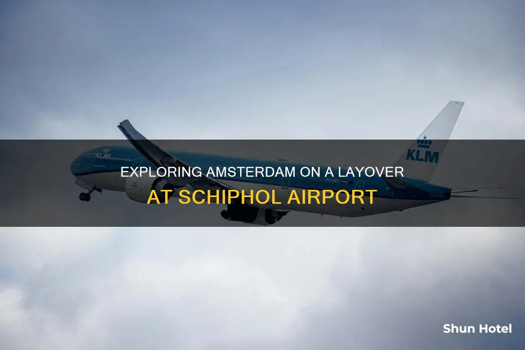 can you leave schiphol airport on a layover