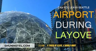Exploring Seattle: Making the Most of Your Layover