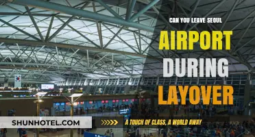 Exploring Seoul During a Layover: Is It Possible?