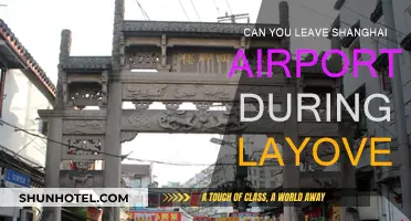 Exploring Shanghai on a Layover: Is It Possible?