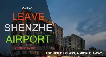Exploring Shenzhen: Leaving the Airport for Adventure