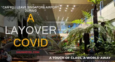 Singapore Airport Layover: Can You Leave During COVID?