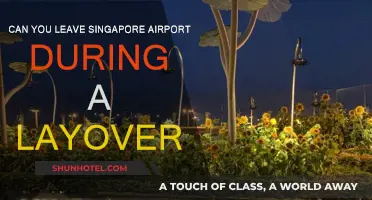 Exploring Singapore: Making the Most of Your Layover