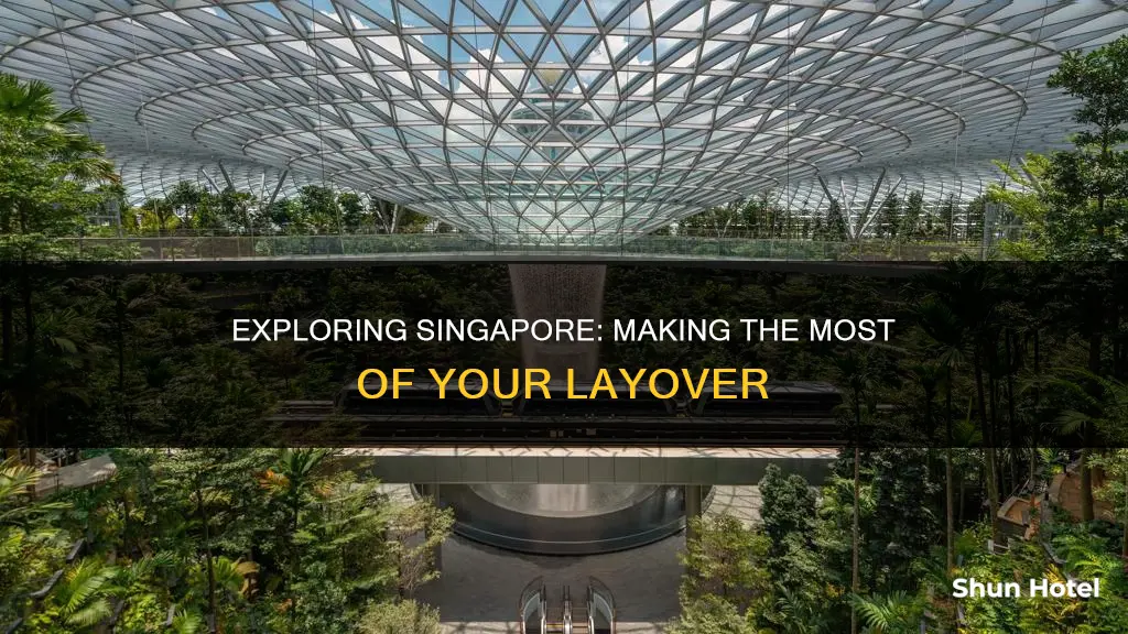 can you leave singapore airport during a layover