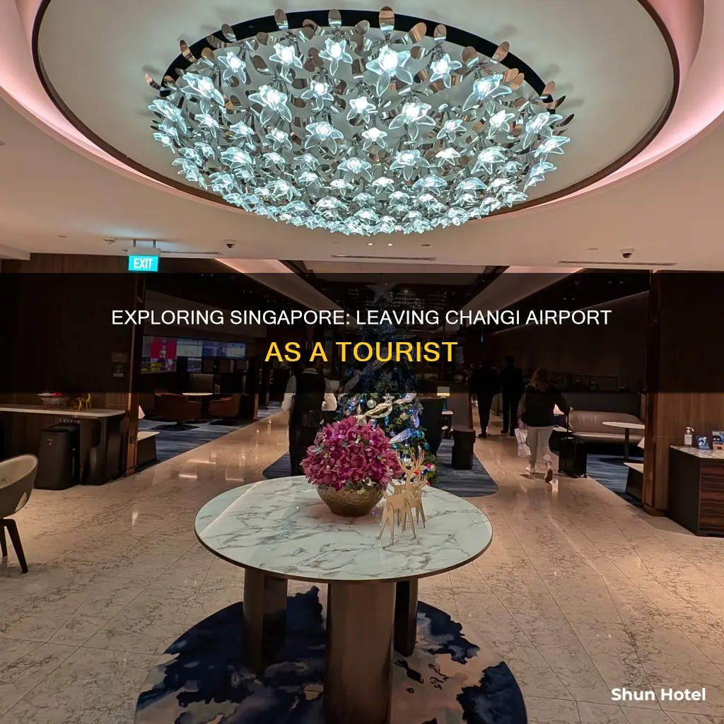 can you leave singapore airport