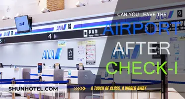 Exploring the Airport: Check-In and Beyond