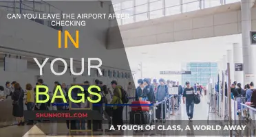Exploring the Airport: Checked Bags, Now What?