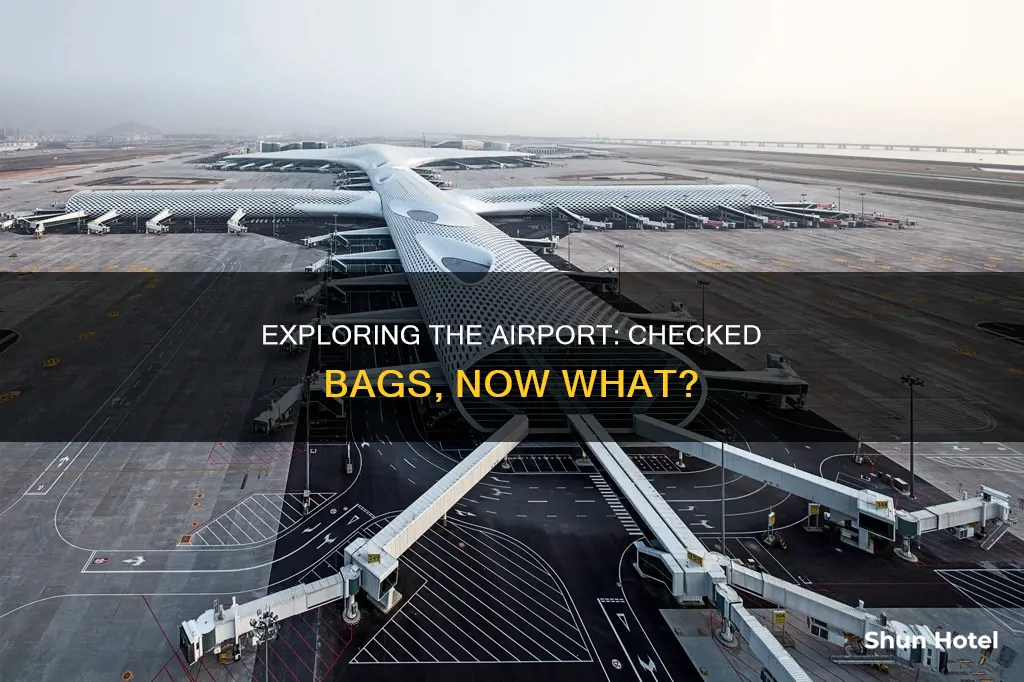 can you leave the airport after checking in your bags
