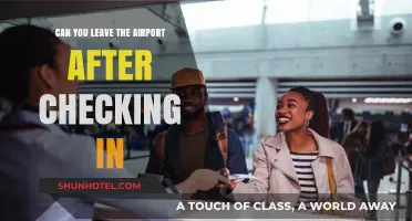 Exploring the City: Airport Check-In and Layovers