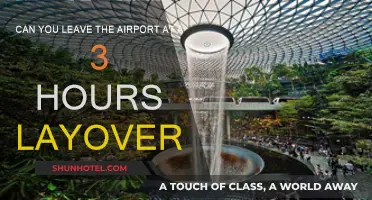 Exploring During a Layover: Can You Leave the Airport?