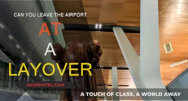 Exploring on a Layover: Can You Leave the Airport?