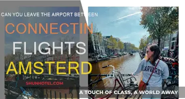 Exploring Amsterdam during a layover: What you need to know