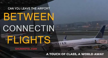Exploring the City Between Connecting Flights