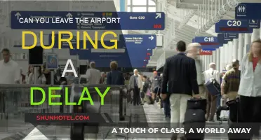 Unexpected Layovers: Exploring Beyond the Airport During Delays