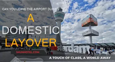 Exploring During a Layover: Can You Leave the Airport?