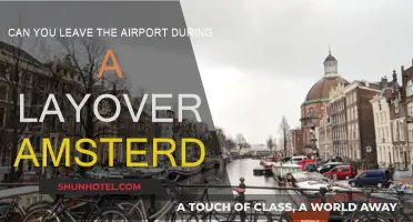 Exploring Amsterdam During a Layover: Is It Possible?