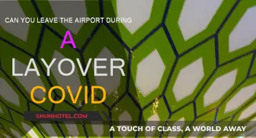 Airport Layovers and COVID: Can You Leave?