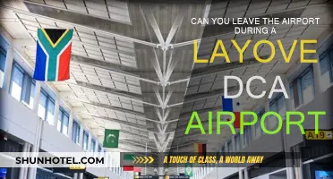 Exploring DC During a Layover: What You Need to Know